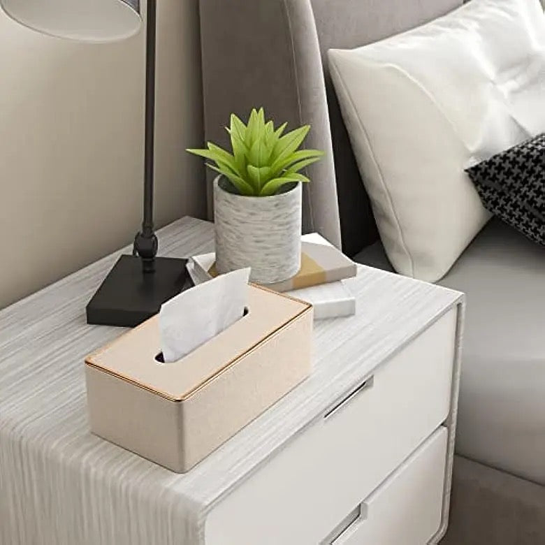 Rectangular Tissue Box Holder - Decorative Tissue Paper Dispenser for Home, Bedroom